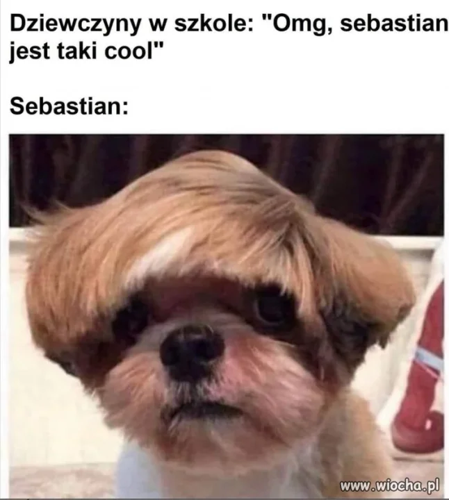 Sekret popularności