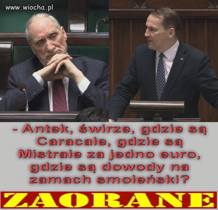 Mistrz jest tylko jeden