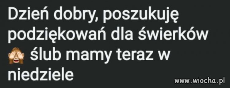 W sumie to miłe, warto podziękować