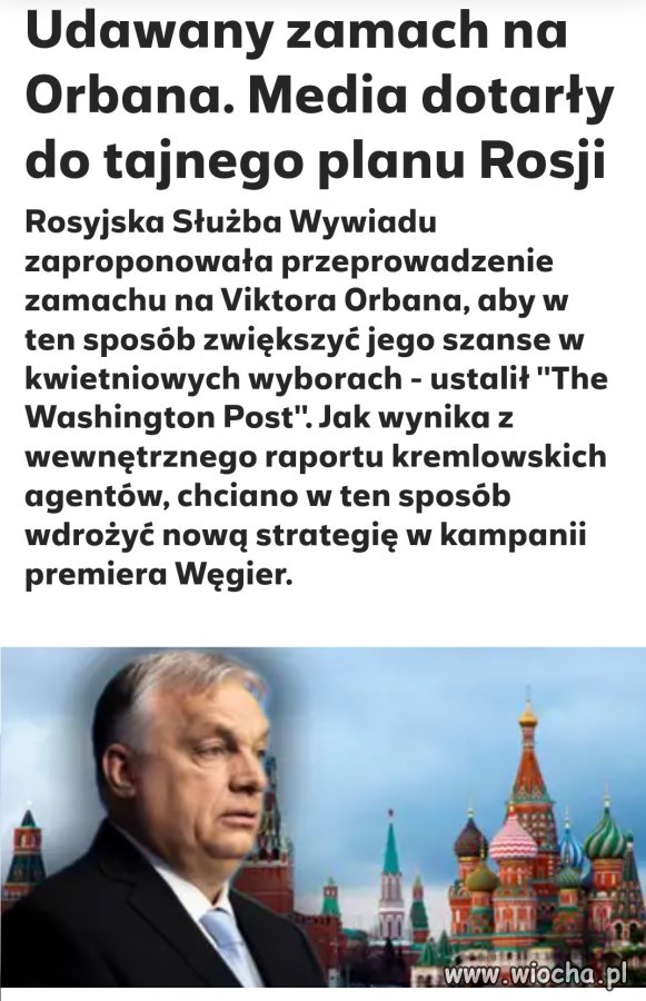 Trumpowi pomogło 