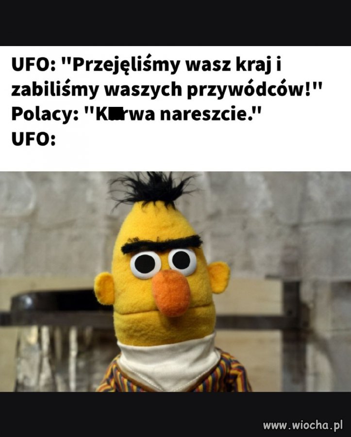 No kurde, nareszcie