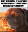 Nie trzeba będzie pójść jutro do pracy