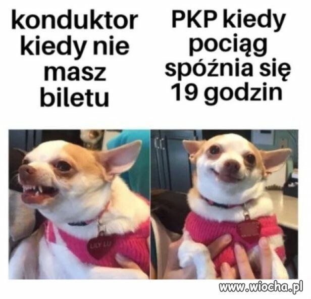 Wiadomo, zdarza się