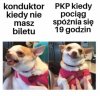 Wiadomo, zdarza się