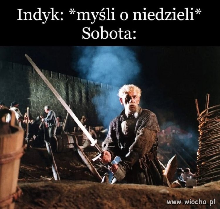 Biedny indyk