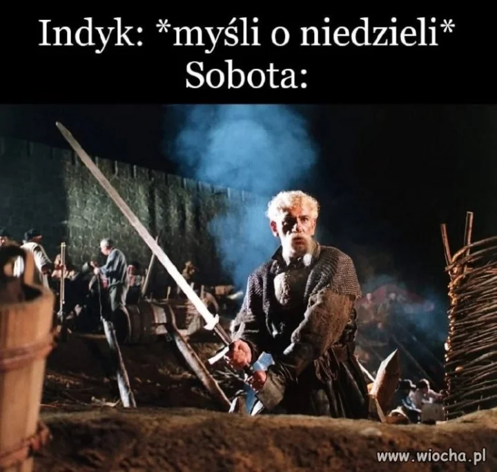 Biedny indyk