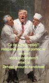 Pomarańczowy idiota 