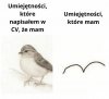 Moje CV w pigułce