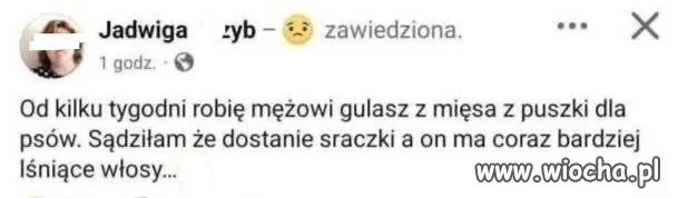Taka żona to skarb?!