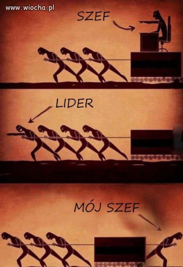 Dyrekcja jaka jest każdy widzi