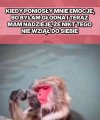 Kiedy głód bierze górę