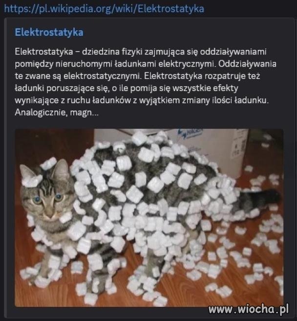 W szkole próbowali latami