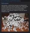 W szkole próbowali latami