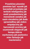 Charakterystyka prawdziwego pisowca