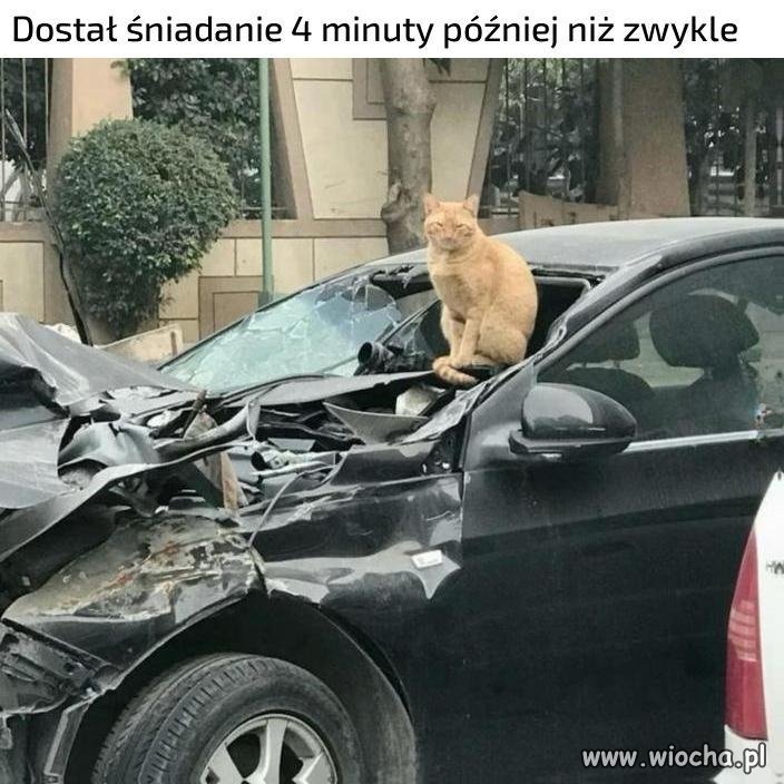 Sam tego chciałeś