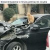 Sam tego chciałeś