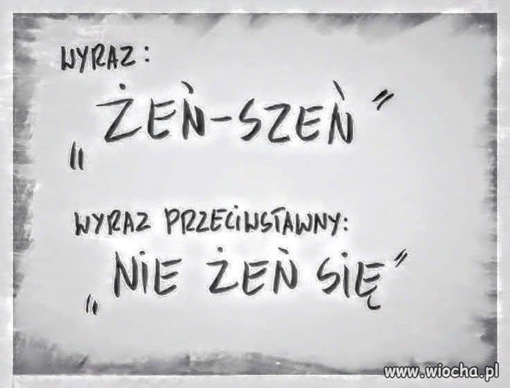 Wyraz Żeń szeń