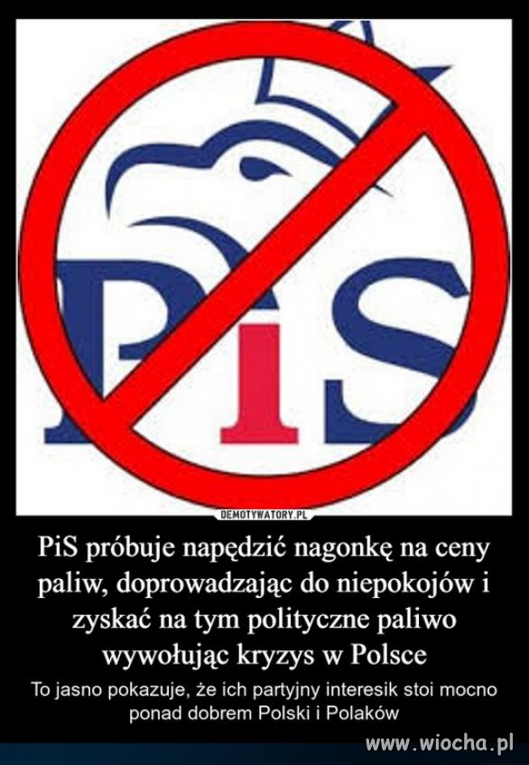 PiS to antypolscy szkodnicy, V kolumna Putina!