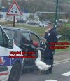Takim to nie podskoczysz