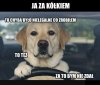 Jakim cudem niektórzy zdali prawo jazdy?