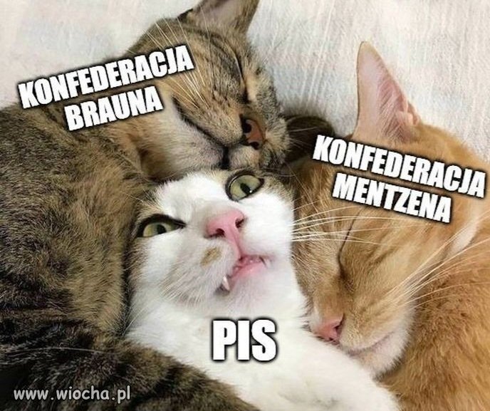 Tak to widzę 
