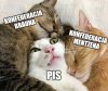 Tak to widzę 