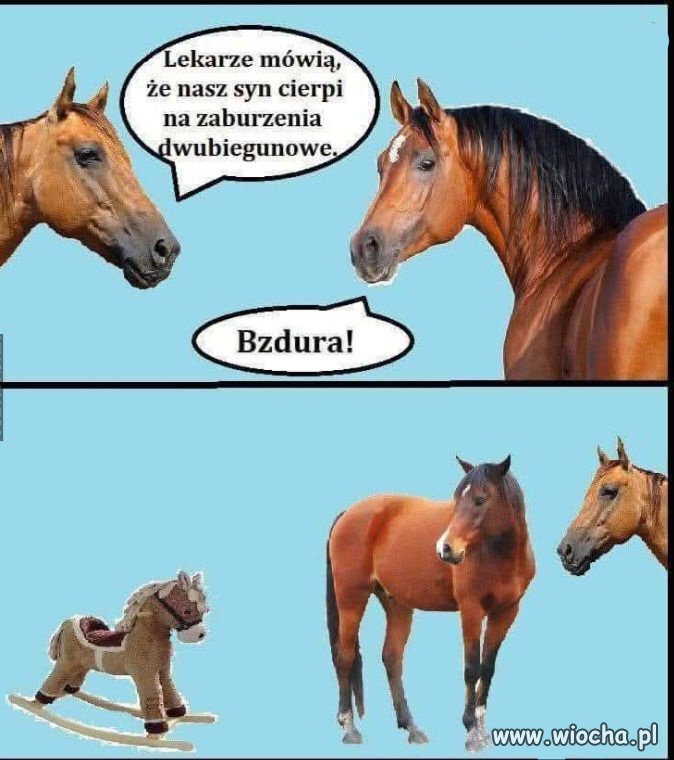 Na jednym biegunie batyr na drugim pomarańczowy 
