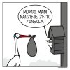 Tak bez polityki 