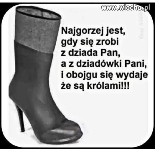 Cała prawda o politykach