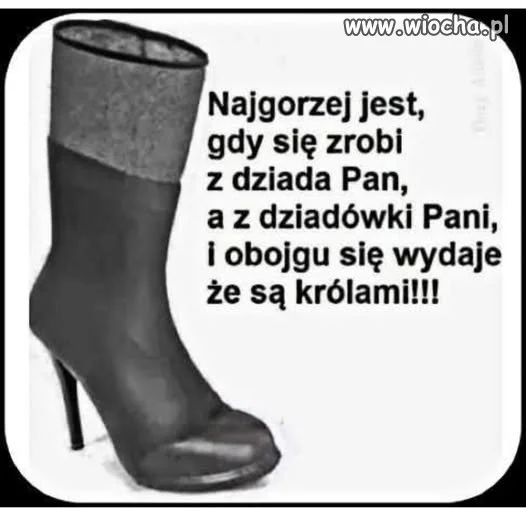 Cała prawda o politykach