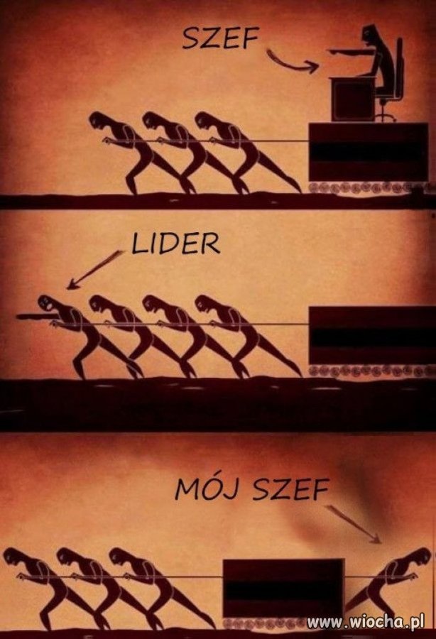 Prosperująca firma