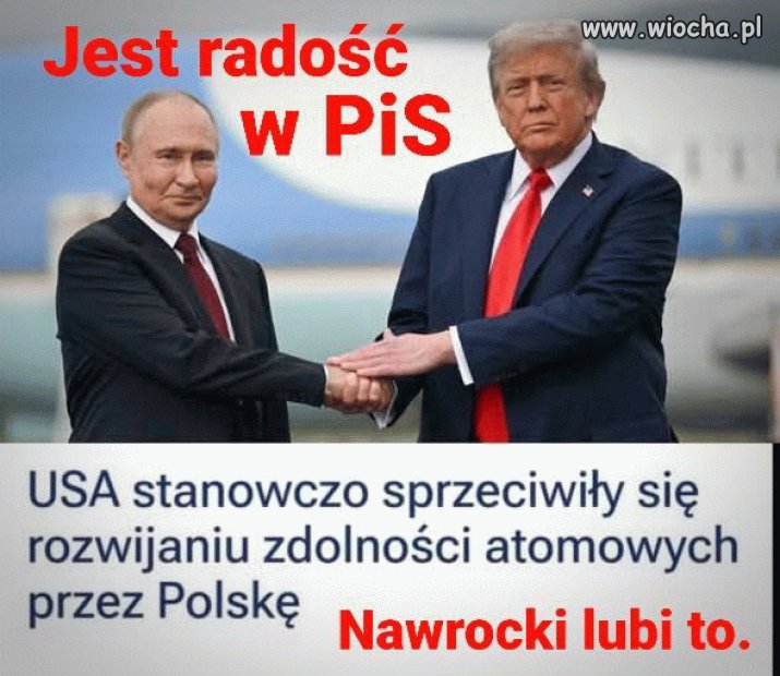 Jak tam pisowskie głąby?