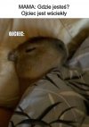 Mama mówi, że ojciec jest wściekły