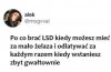 Polecam, to prawda
