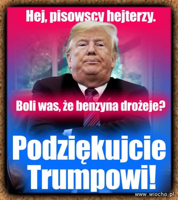 Jak tam pisowskie zakute łby?
