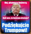 Jak tam pisowskie zakute łby?