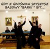 Zwyczajni chłopcy wolą tańczyć z dziewczynami.