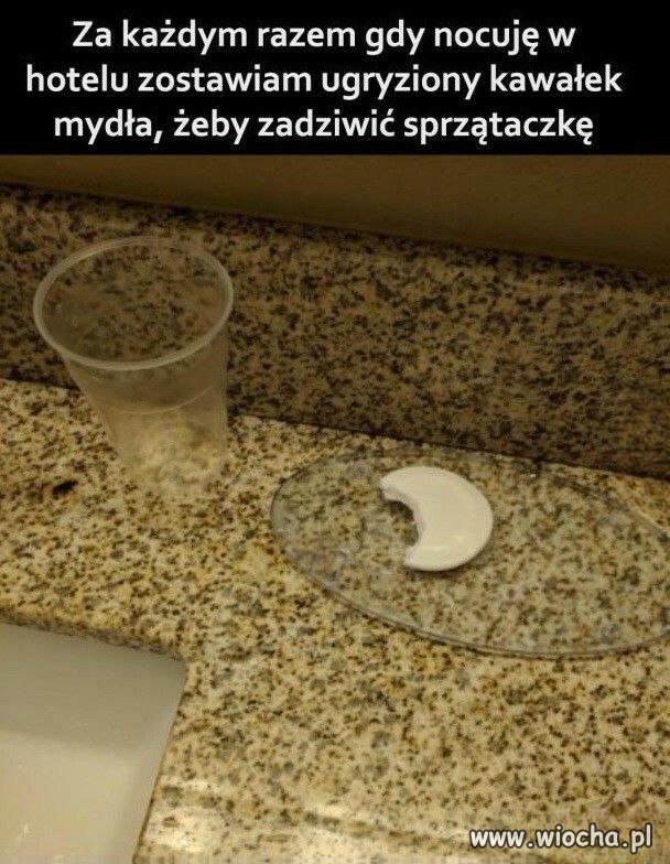 Niszowe zachowanie