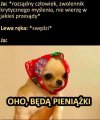 To musi być to
