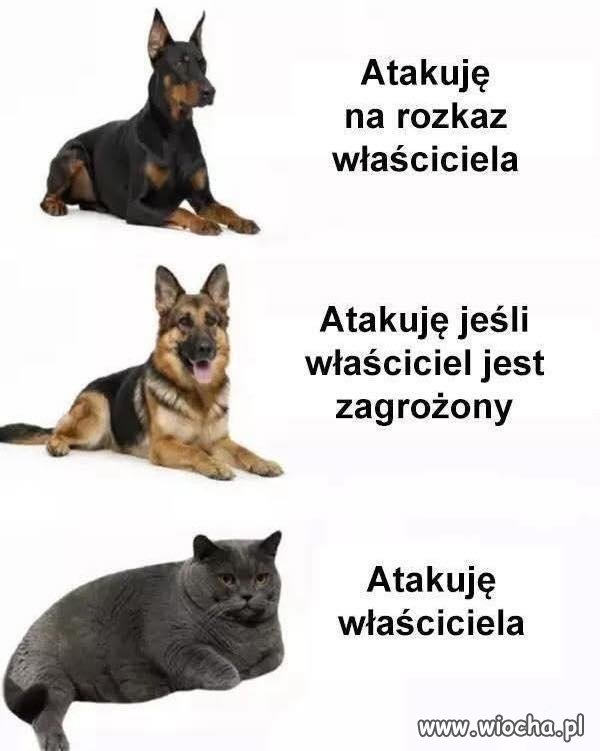 Tak i co?