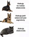 Tak i co?