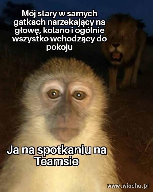 Bardzo przepraszam