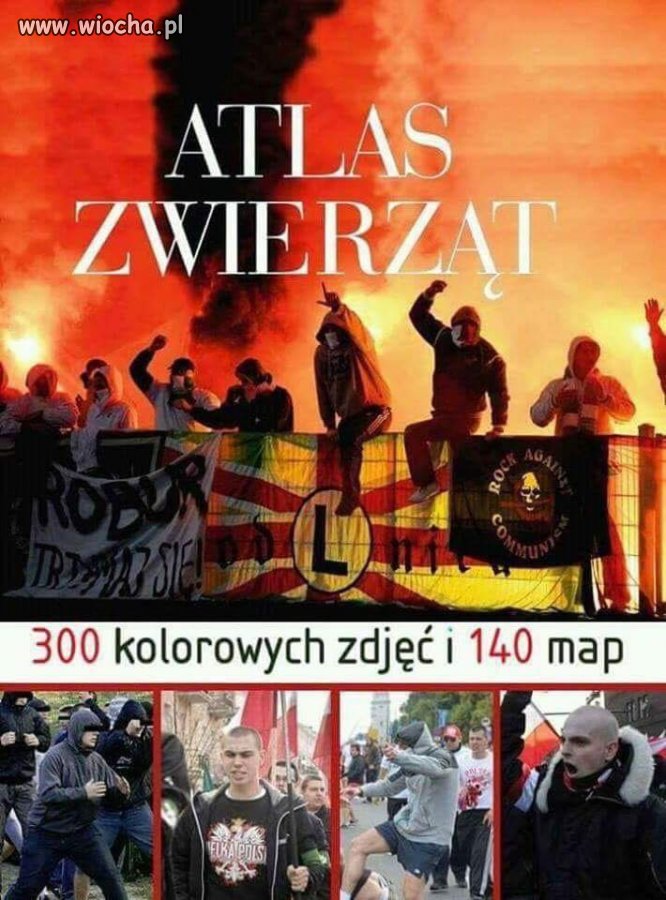 Bezmyślne i nastawione na wandalizm 