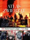 Bezmyślne i nastawione na wandalizm 
