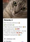 Kicia szuka kocura na życie