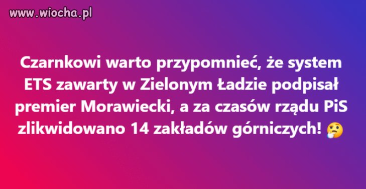 Czarnek głupi garnek zapomniał