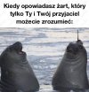 Królestwo inside joke'ów
