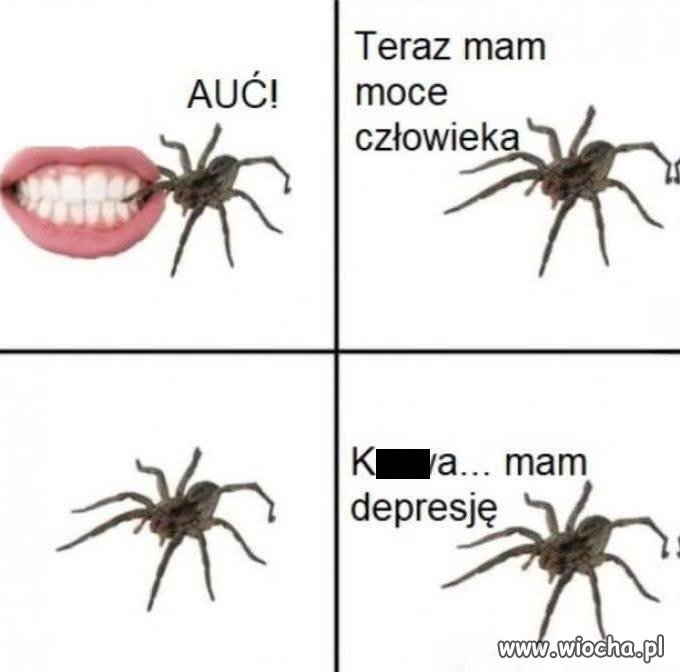 Nie tak sobie to wyobrażał