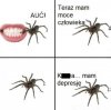 Nie tak sobie to wyobrażał