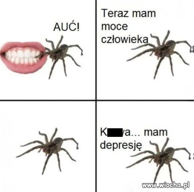 Nie tak sobie to wyobrażał